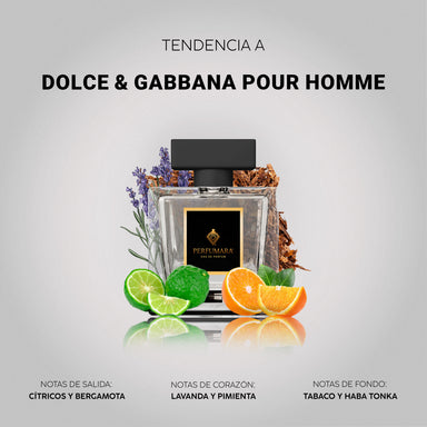 Tendencia a Dolce & Gabbana Pour Homme