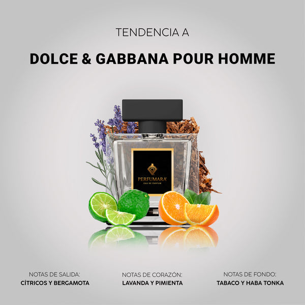 Tendencia a CDolce & Gabbana Pour Homme