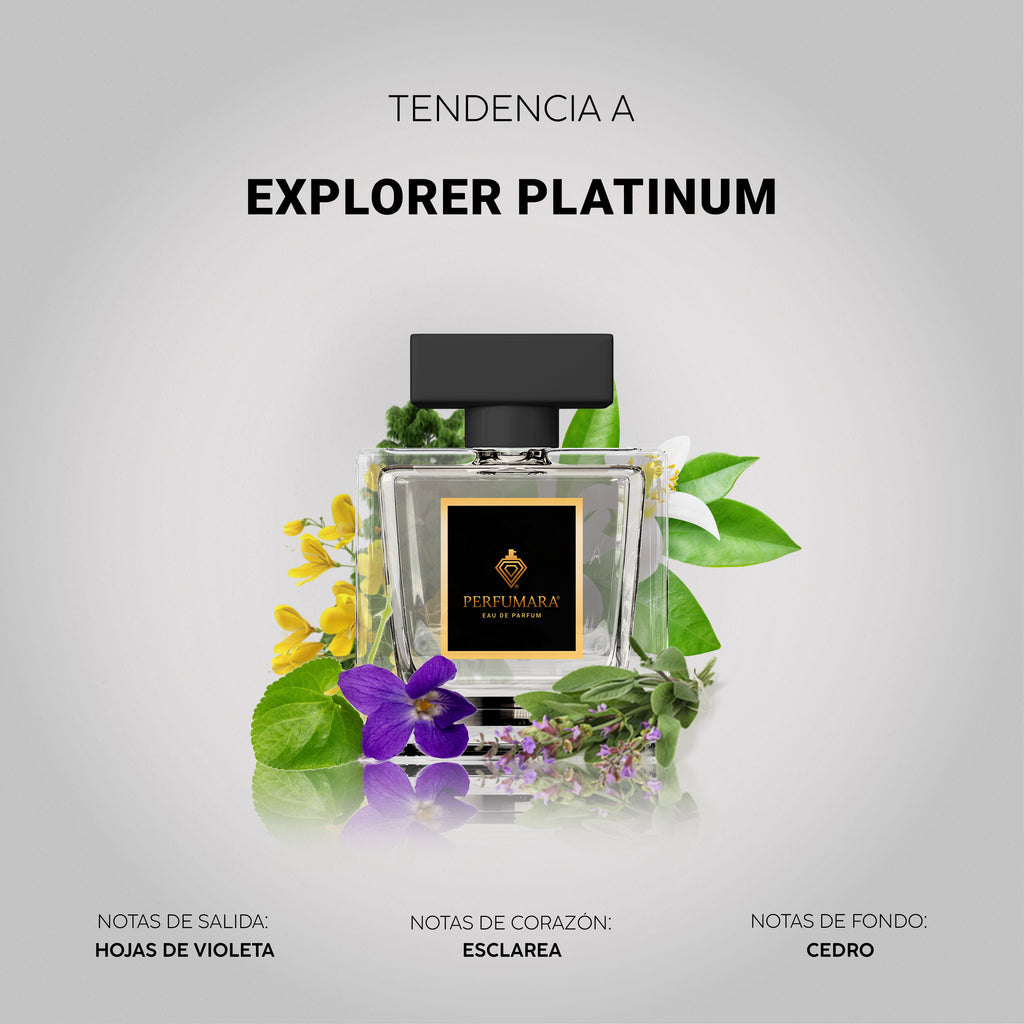 Tendencia  a CExplorer Platinum