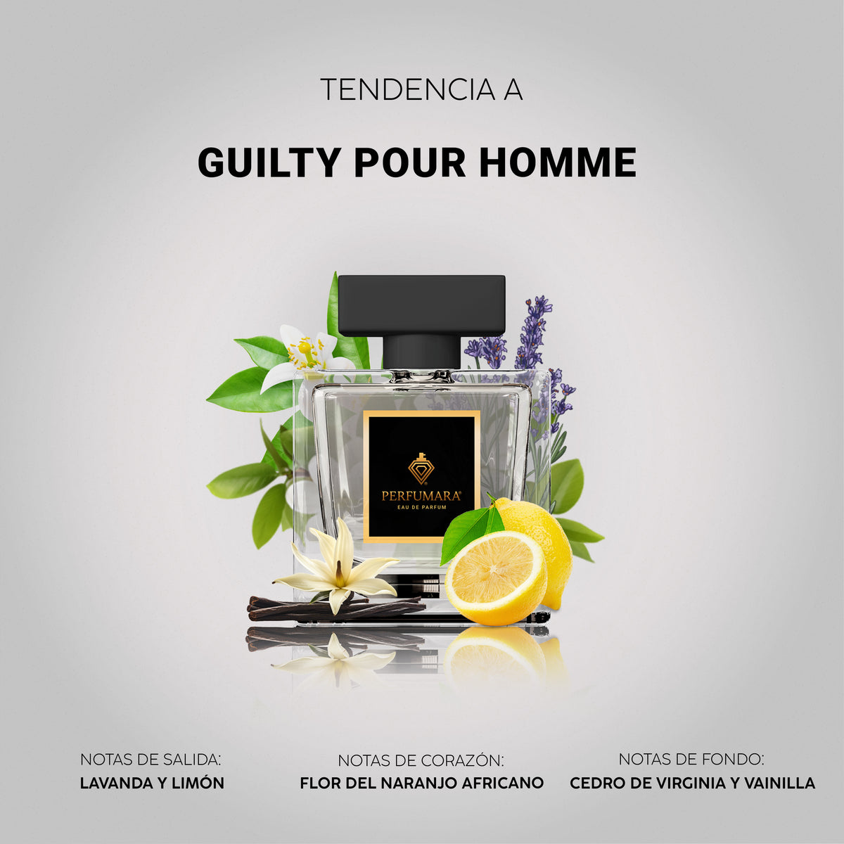 Tendencia a Guilty Pour Homme