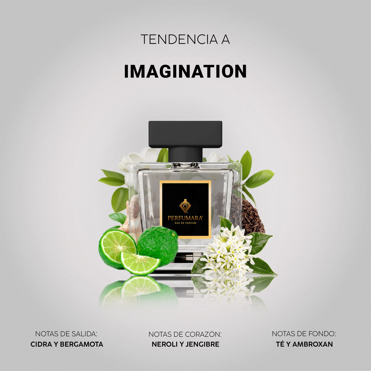 Tendencia a Imagination
