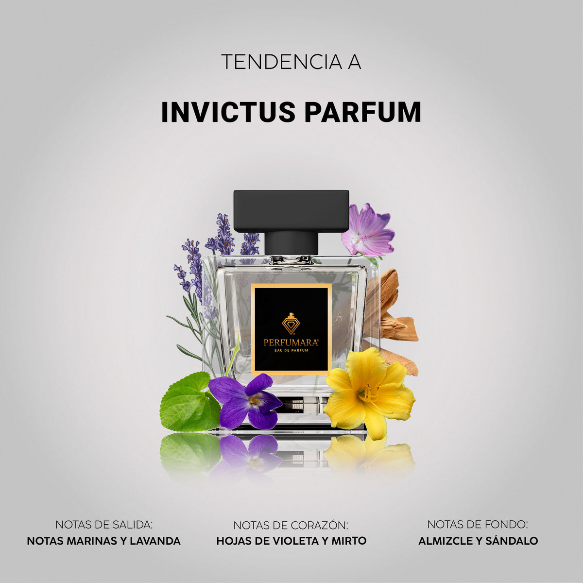 Tendencia a Invictus Parfum