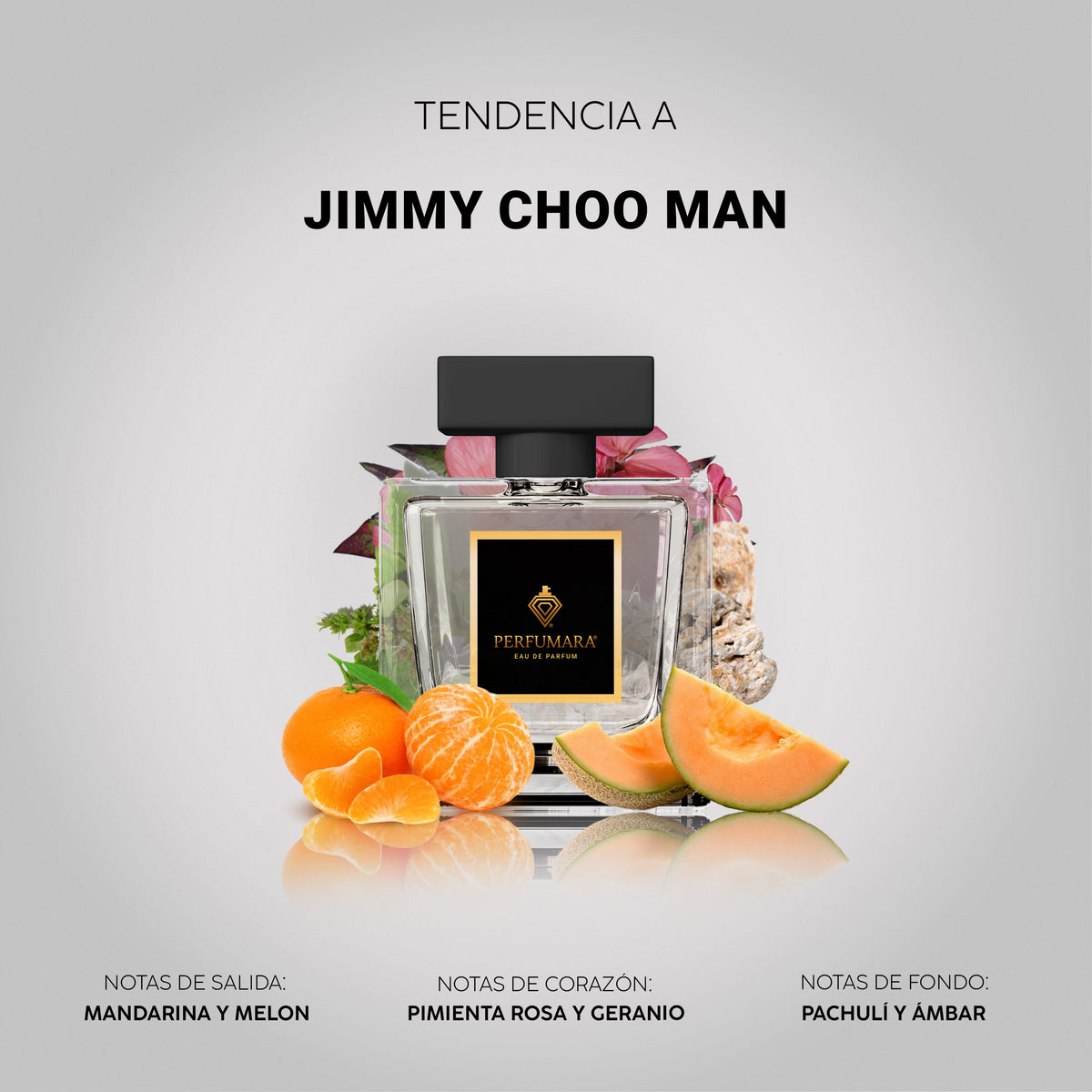 Tendencia a Jimmy Choo Man