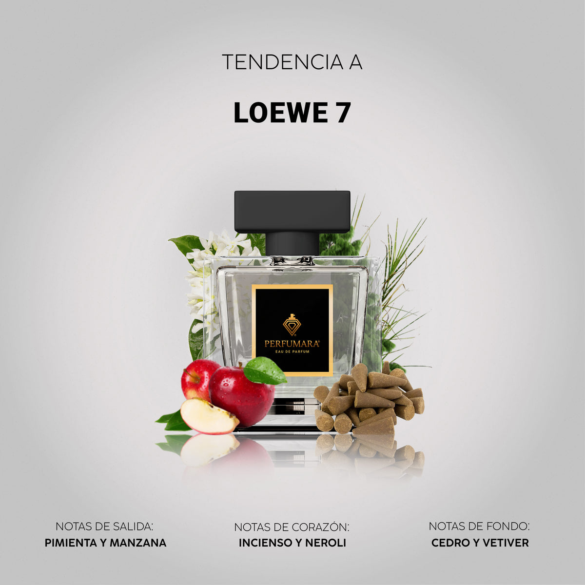 Tendencia a Loewe 7