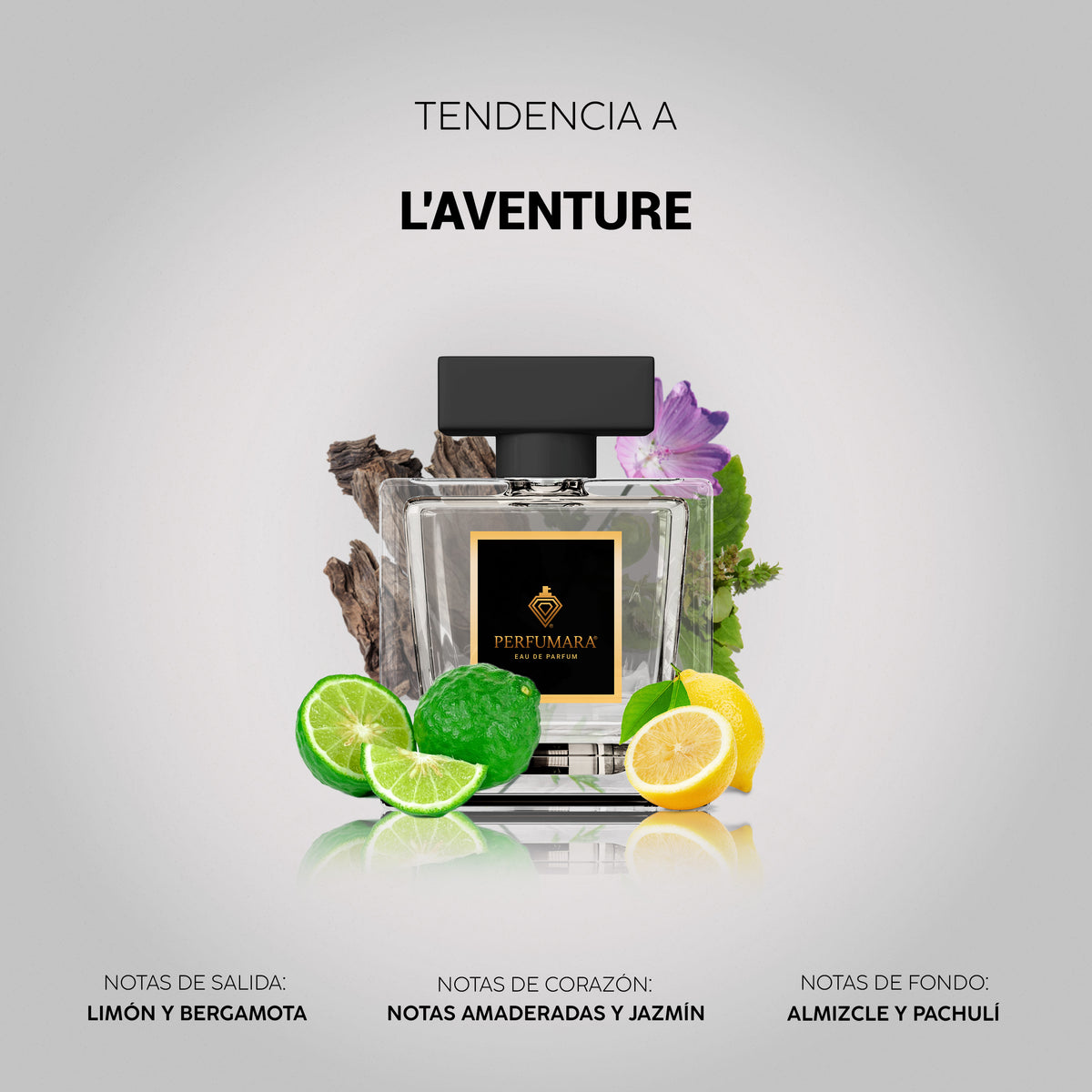 Tendencia a L'Aventure