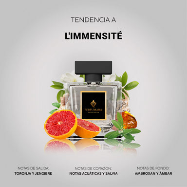 Tendencia a L’Immensité