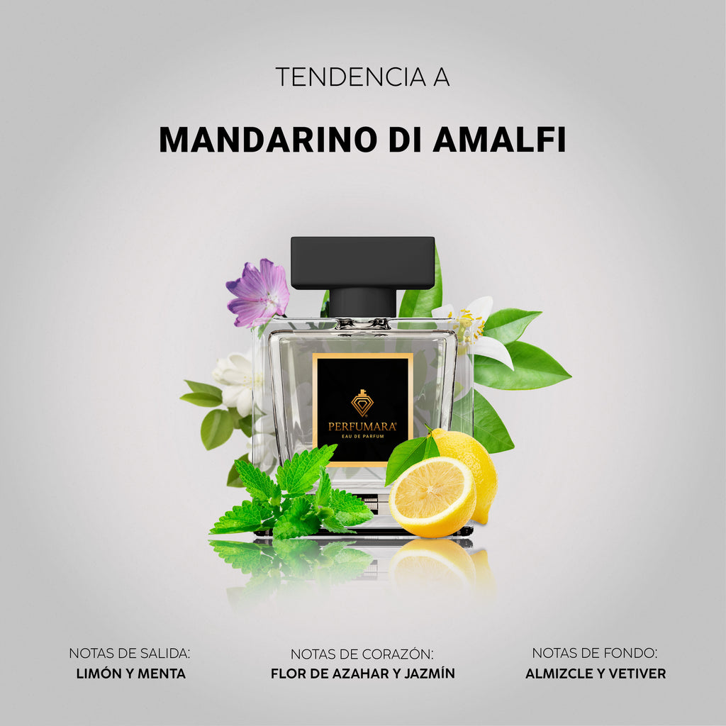 Tendencia a UMandarino di Amalfi