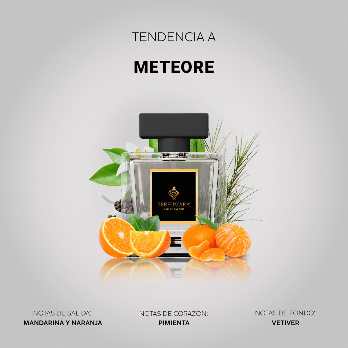 Tendencia a Météore
