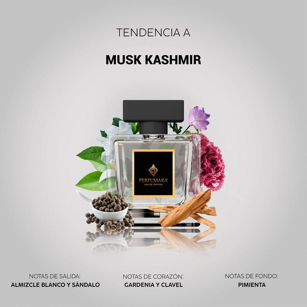 Tendencia a UMusk Kashmir