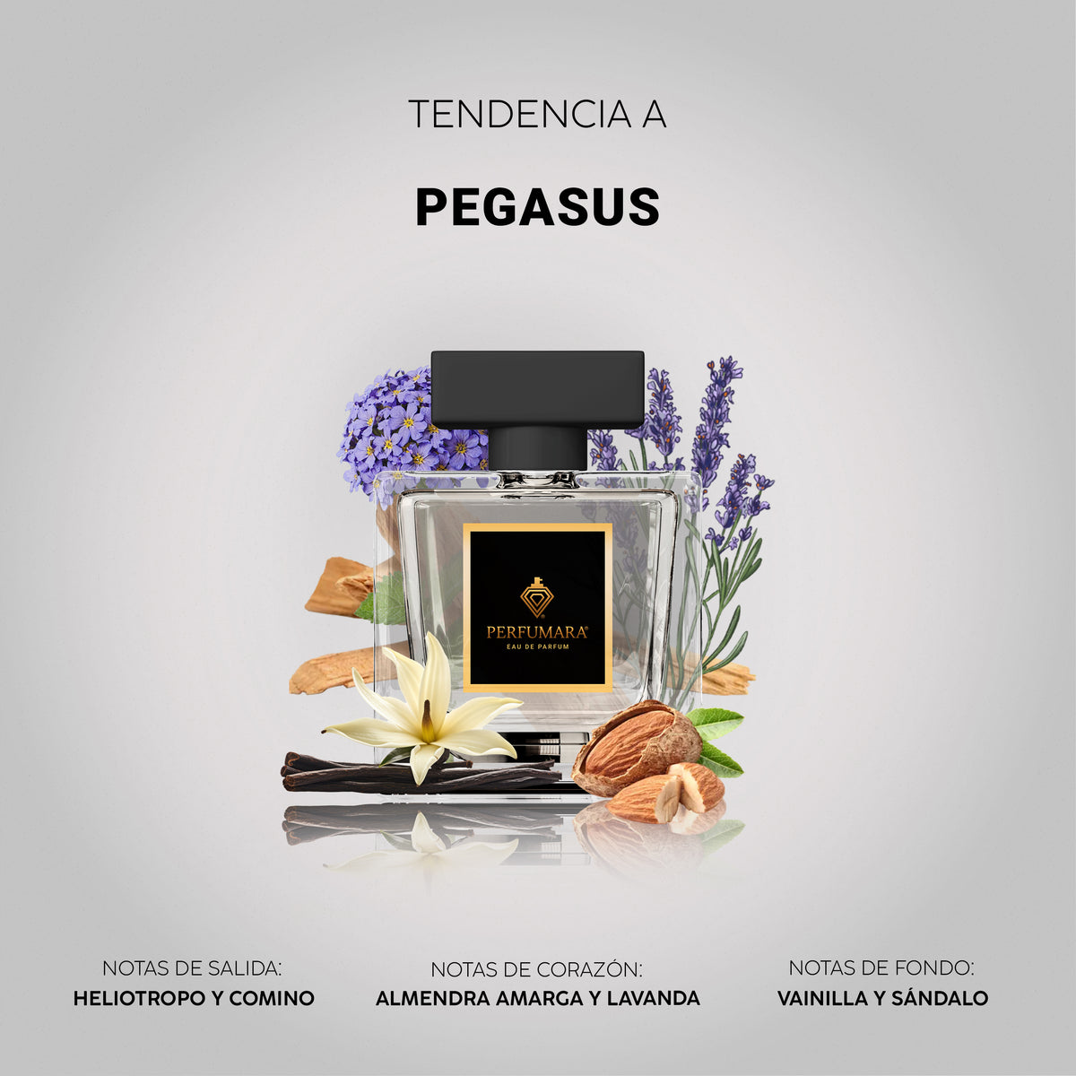 Tendencia a Pegasus