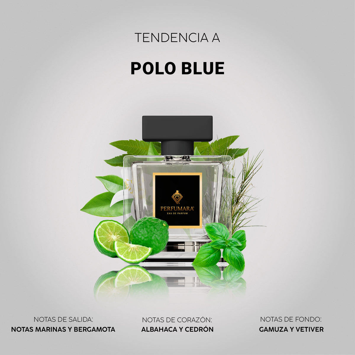 Tendencia a Polo Blue