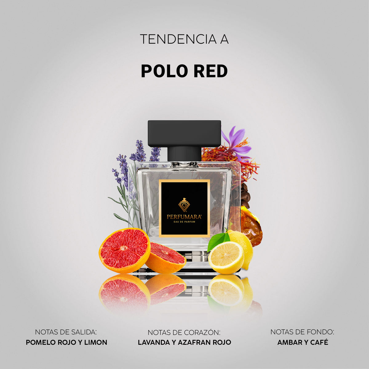 Tendencia a Polo Red