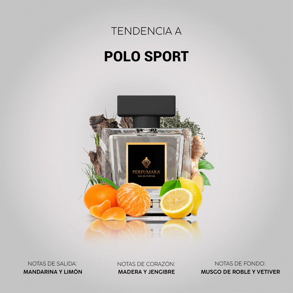 Tendencia a CPolo Sport