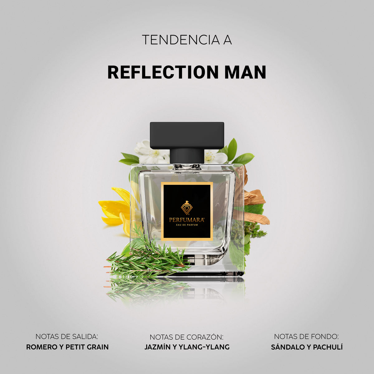 Tendencia a Reflection Man