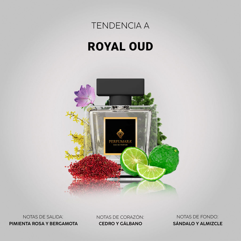 Tendencia a CRoyal Oud