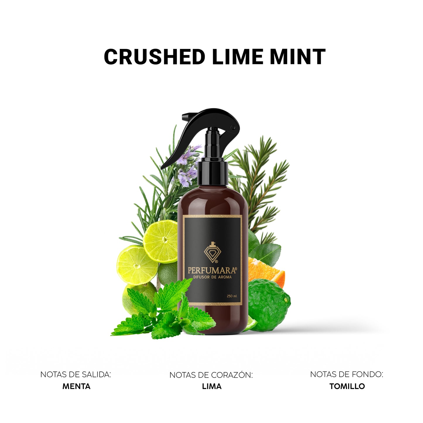 Crushed Lime Mint ( Hotel Nice)