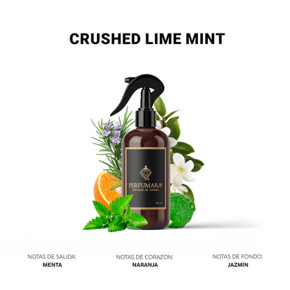 Crushed Lime Mint ( Hoteles Nice)