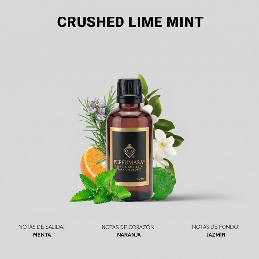 Crushed Lime Mint ( Hoteles Nice)