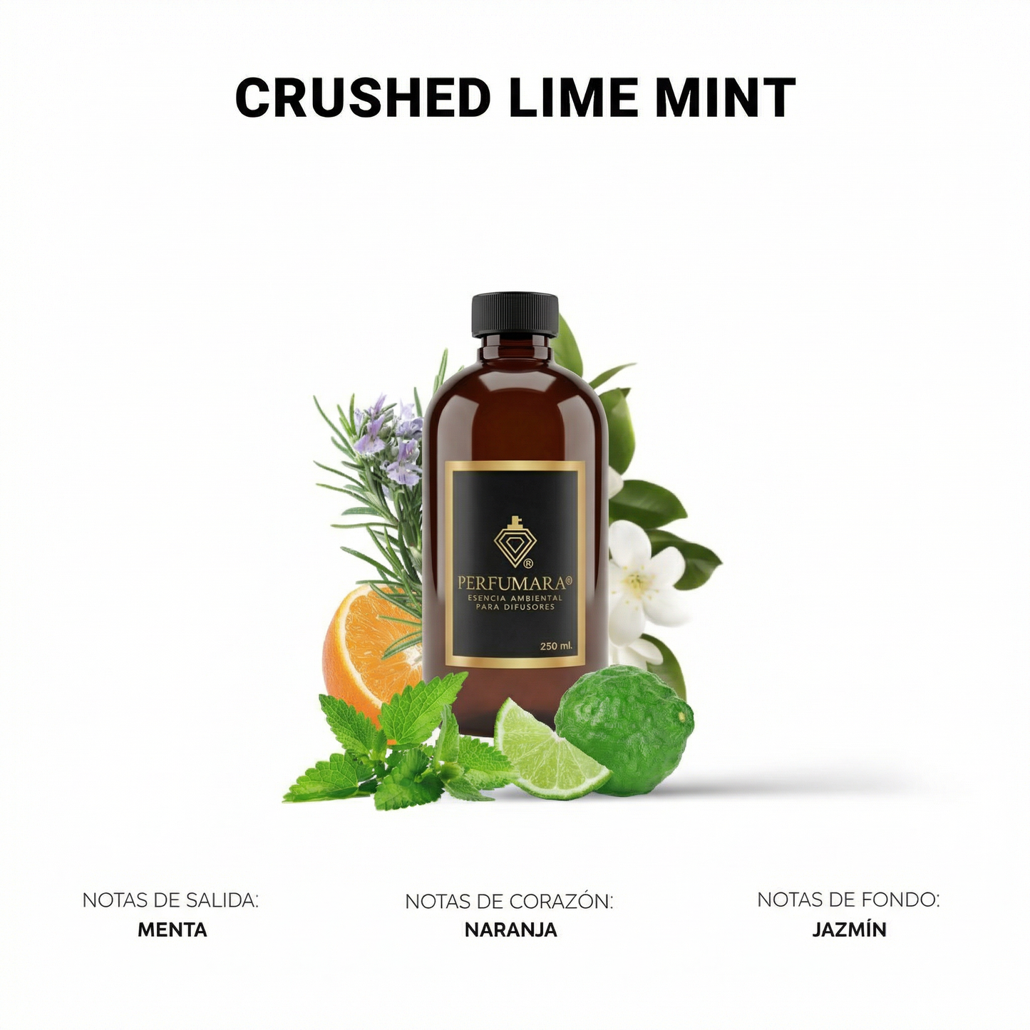 Crushed Lime Mint