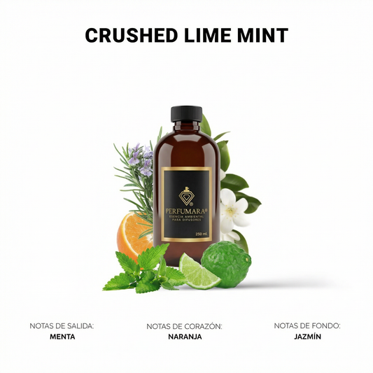 Crushed Lime Mint ( Hoteles Nice)