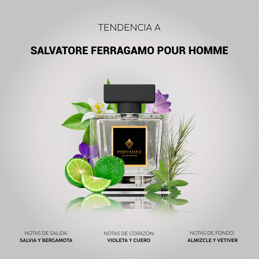 Tendencia a CSalvatore Ferragamo pour Homme