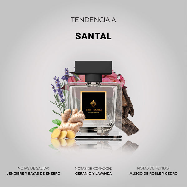 Tendencia a USantal Creed