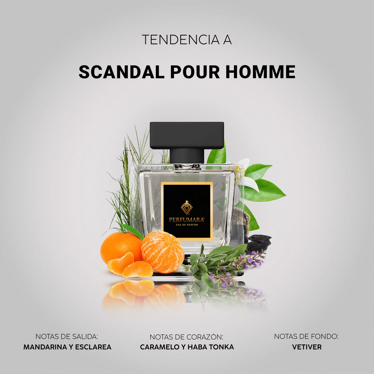 Tendencia a Scandal Pour Homme