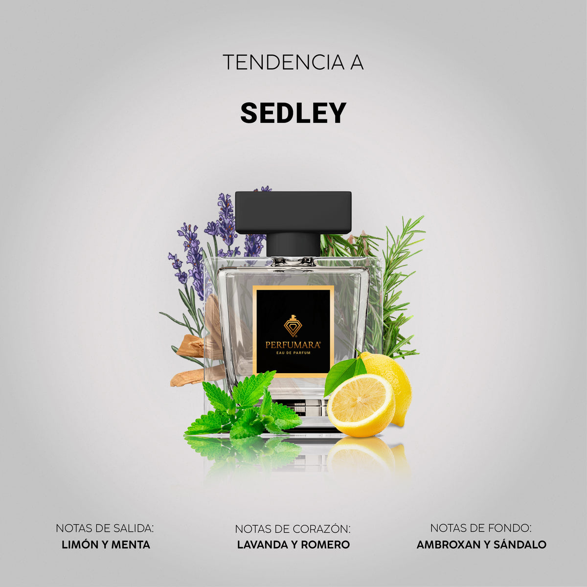 Tendencia a Sedley