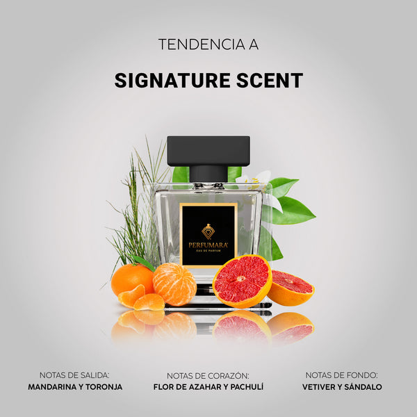 Tendencia a USignature Scent