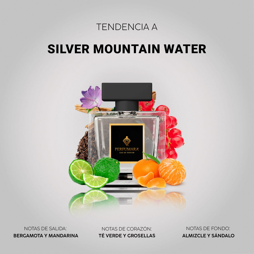 Tendencia a USilver Mountain Water