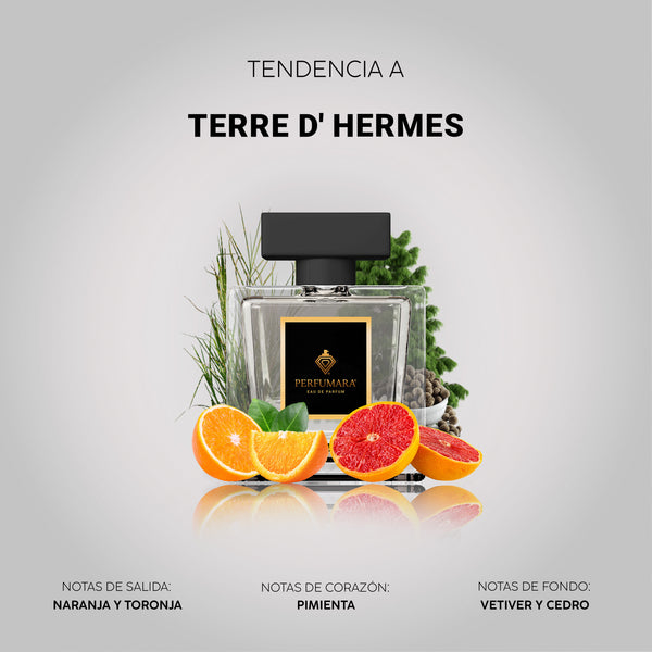 Tendencia a CTerre d´ Hermes