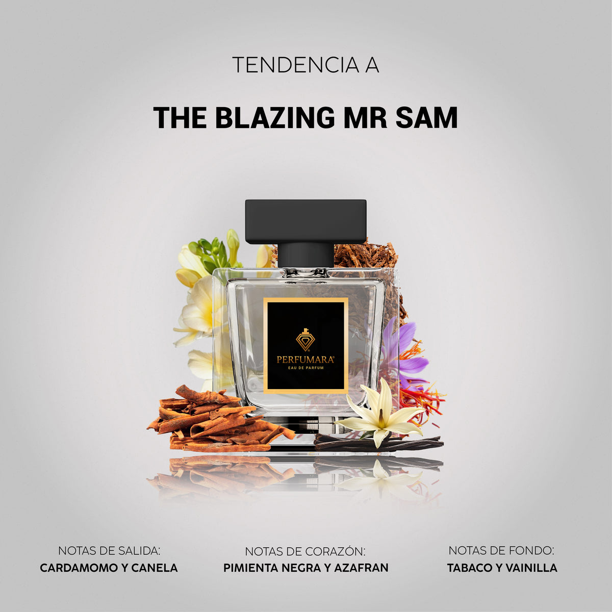 Tendencia a The Blazing Mr Sam
