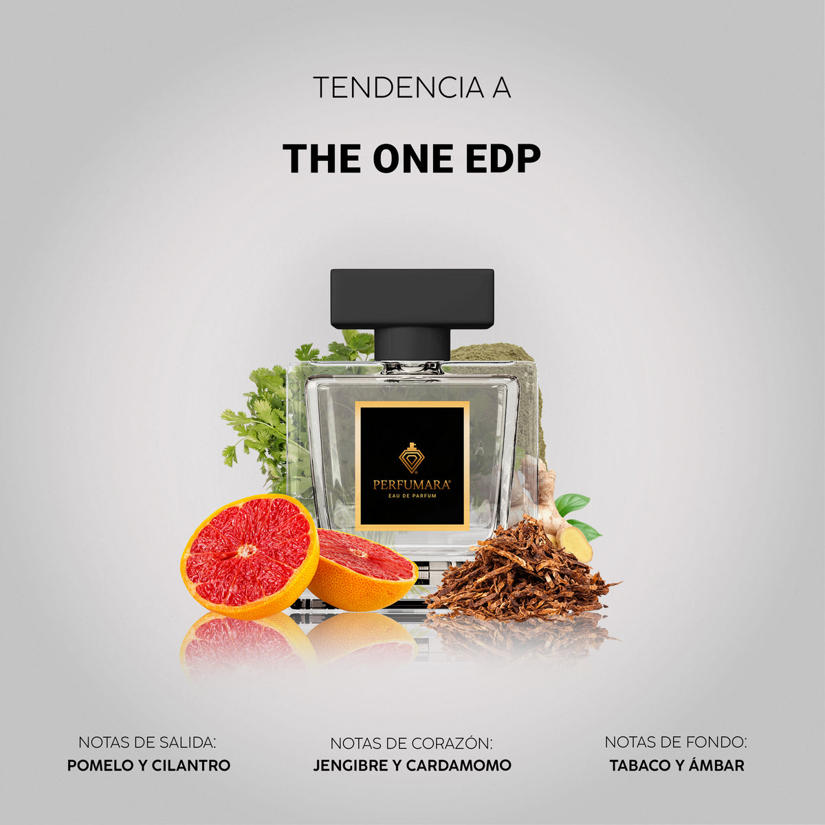 Tendencia a The One EDP