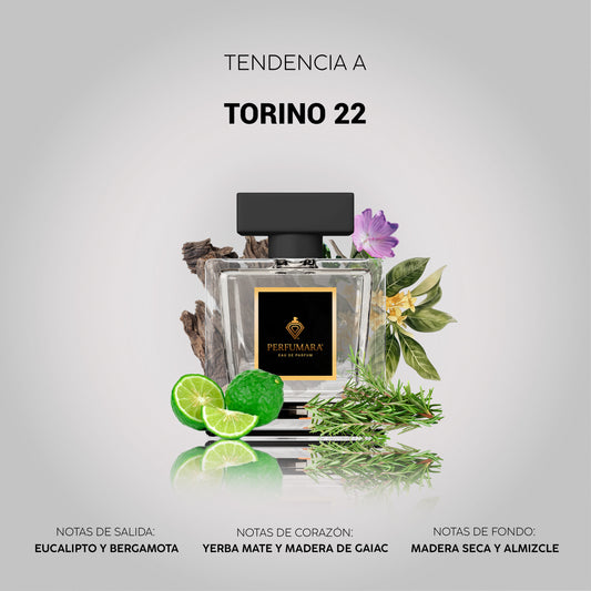 Tendencia a CTorino 22