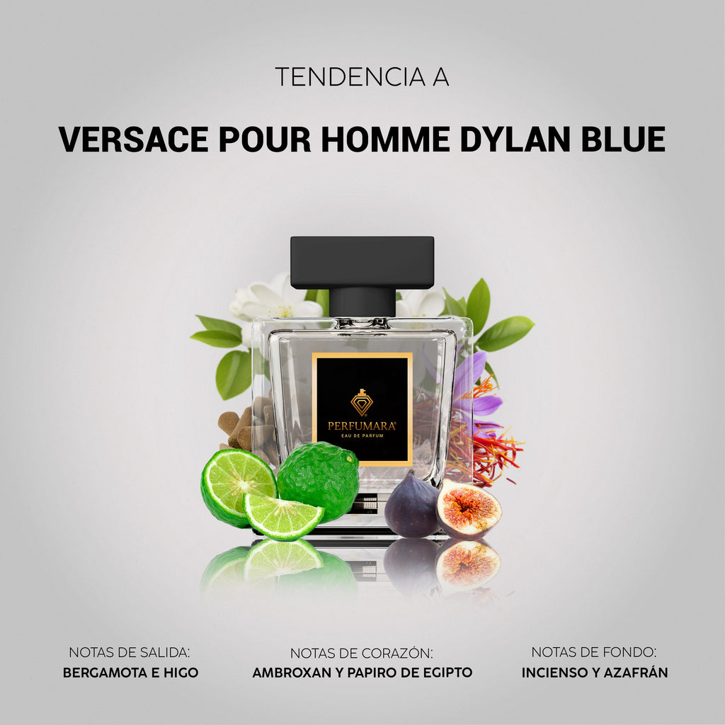 Tendencia a CVersace Pour Homme Dylan Blue