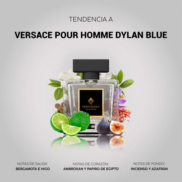 Tendencia a CVersace Pour Homme Dylan Blue