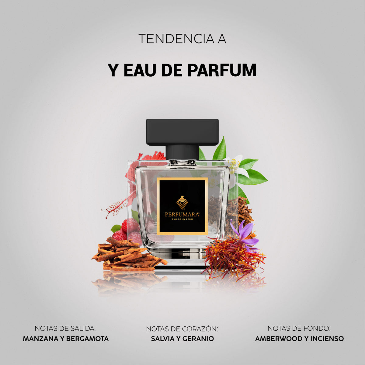 Tendencia a Y Eau De Parfum