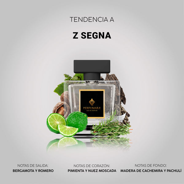 Tendencia a CZ zegna