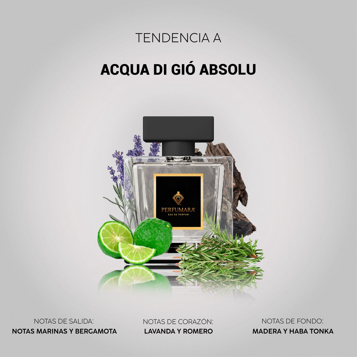 Tendencia a CAcqua di Giò Absolu