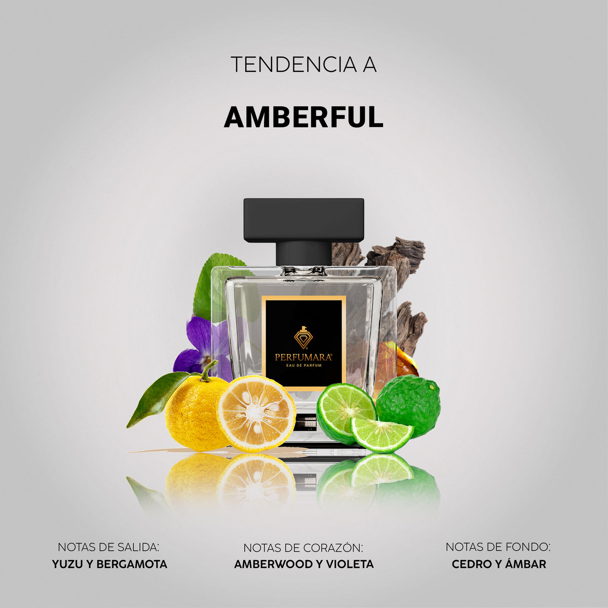 Tendencia a Amberful