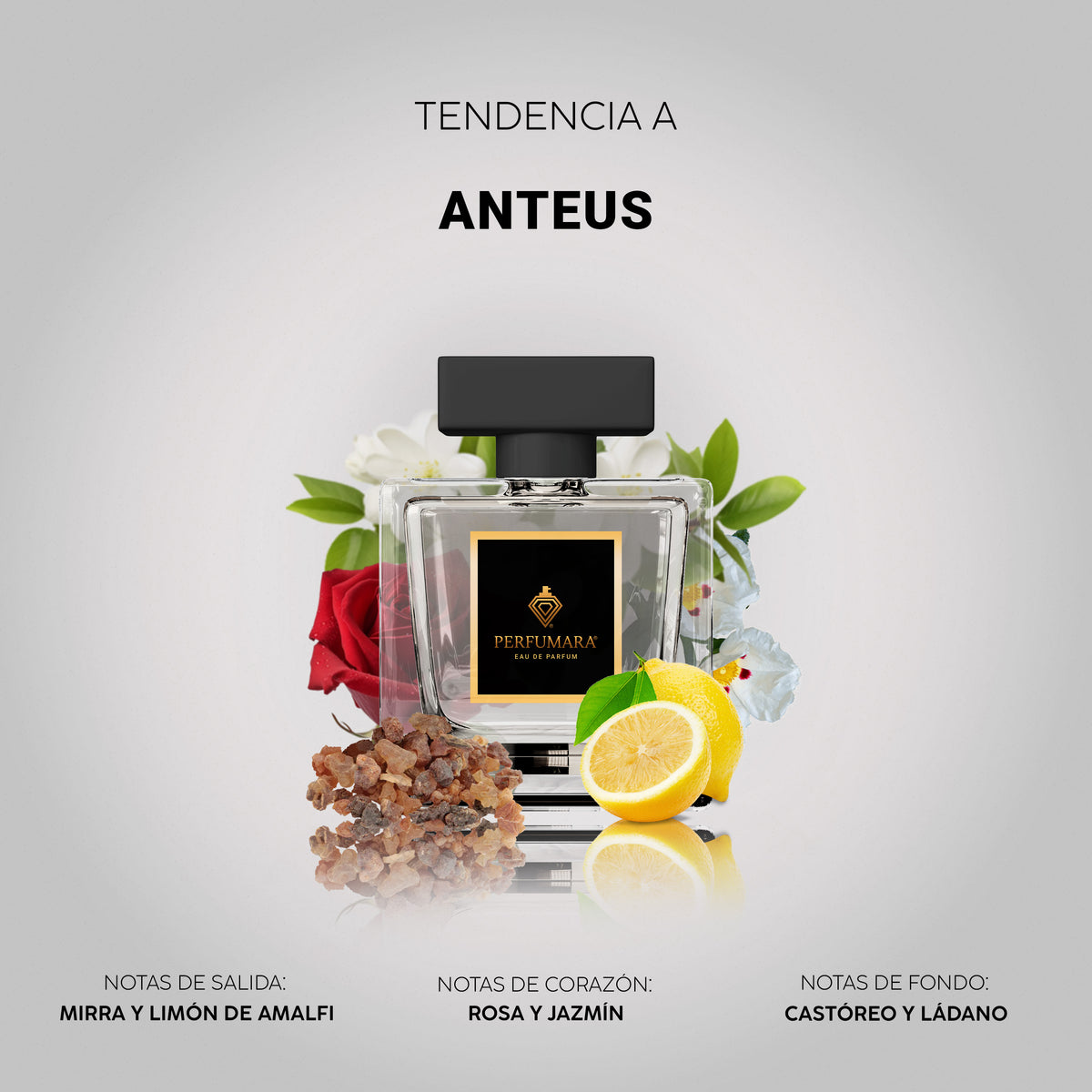 Tendencia a Anteus