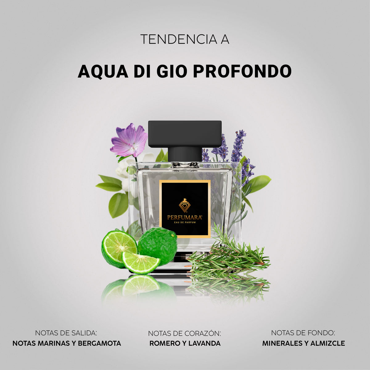 Tendencia a Aqua De Gio Profondo