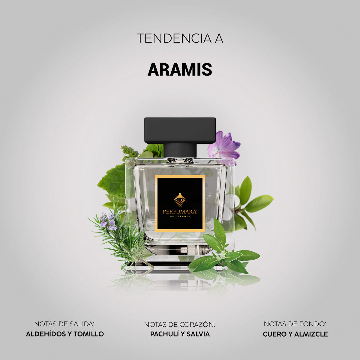 Tendencia a Aramis