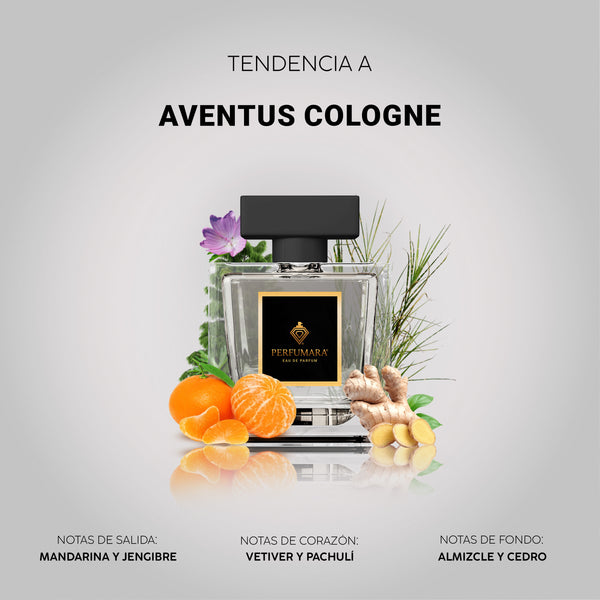 Tendencia a CAventus Cologn