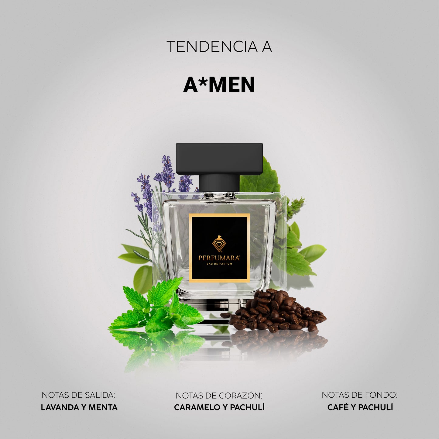 Tendencia a A*Men