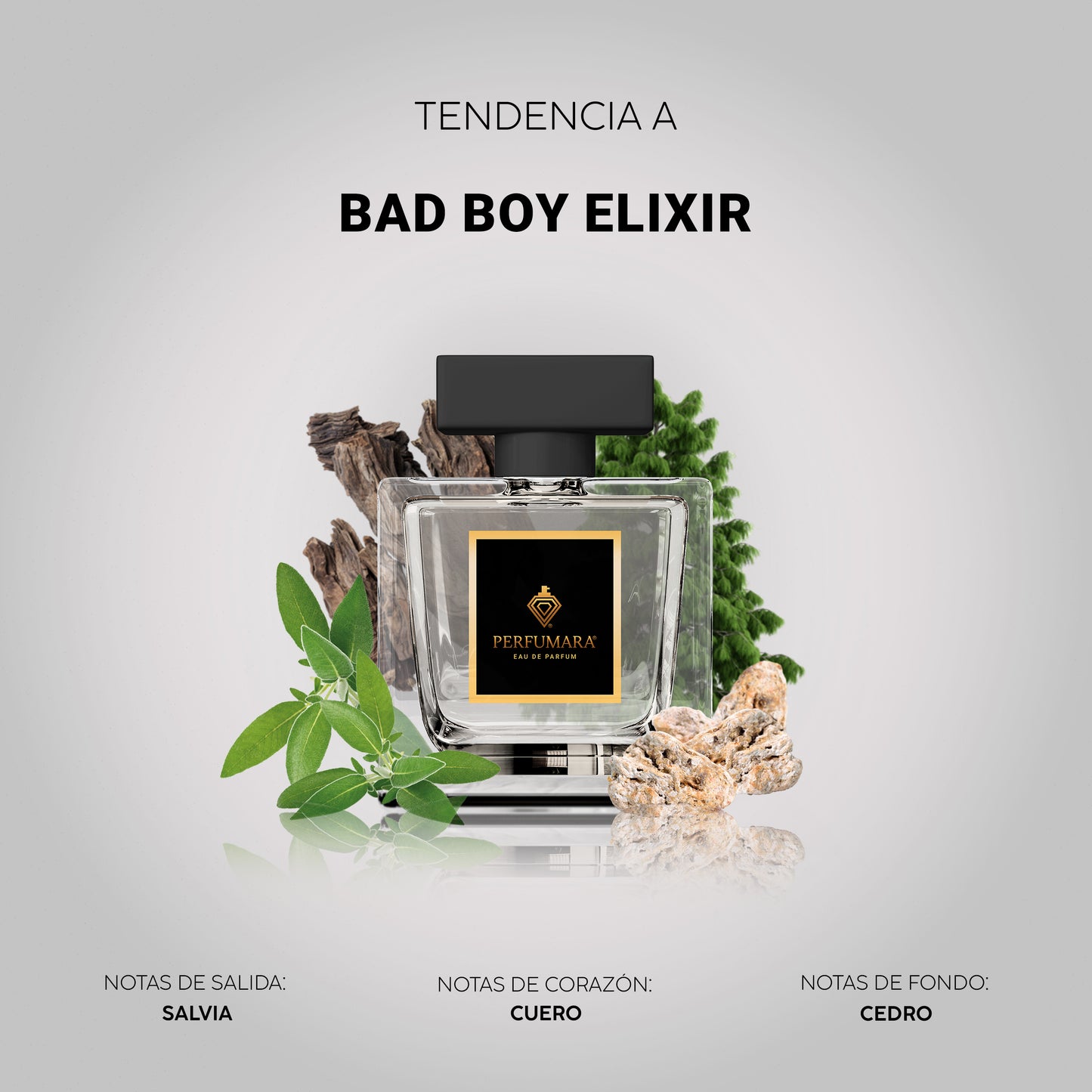 Tendencia  a CBad Boy Elixir