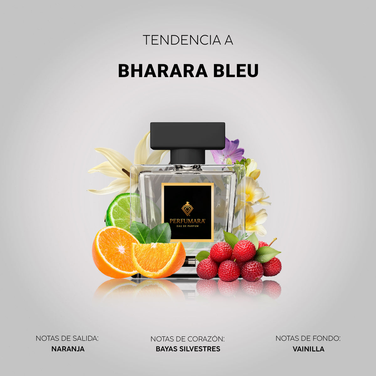 Tendencia a BHARARA BLEU