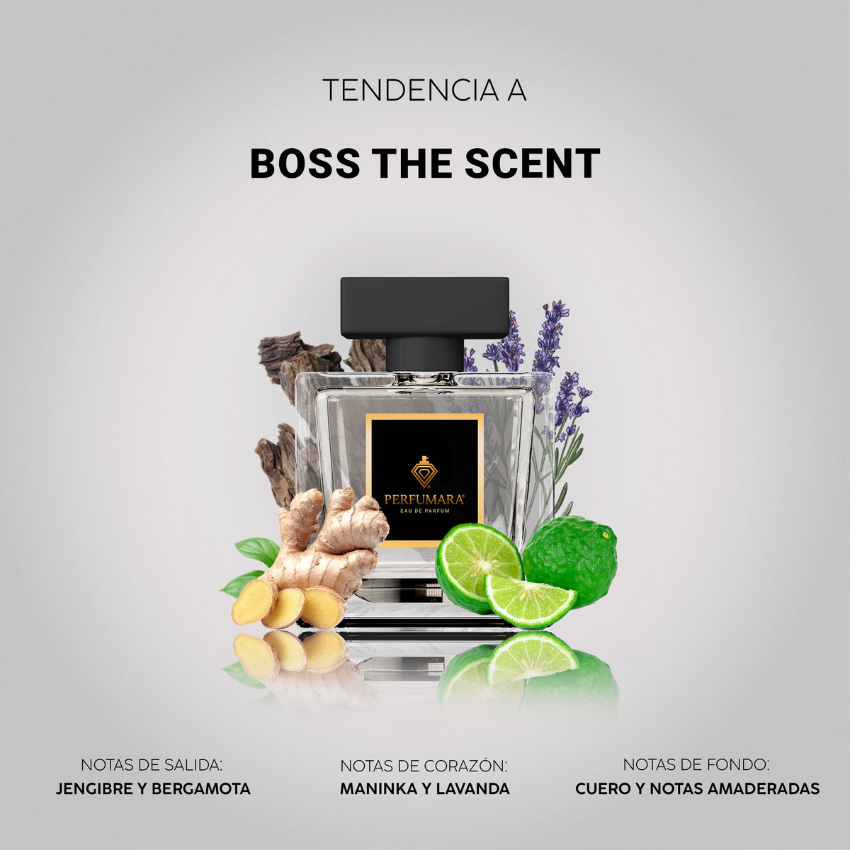 Tendencia a Boss The Scent