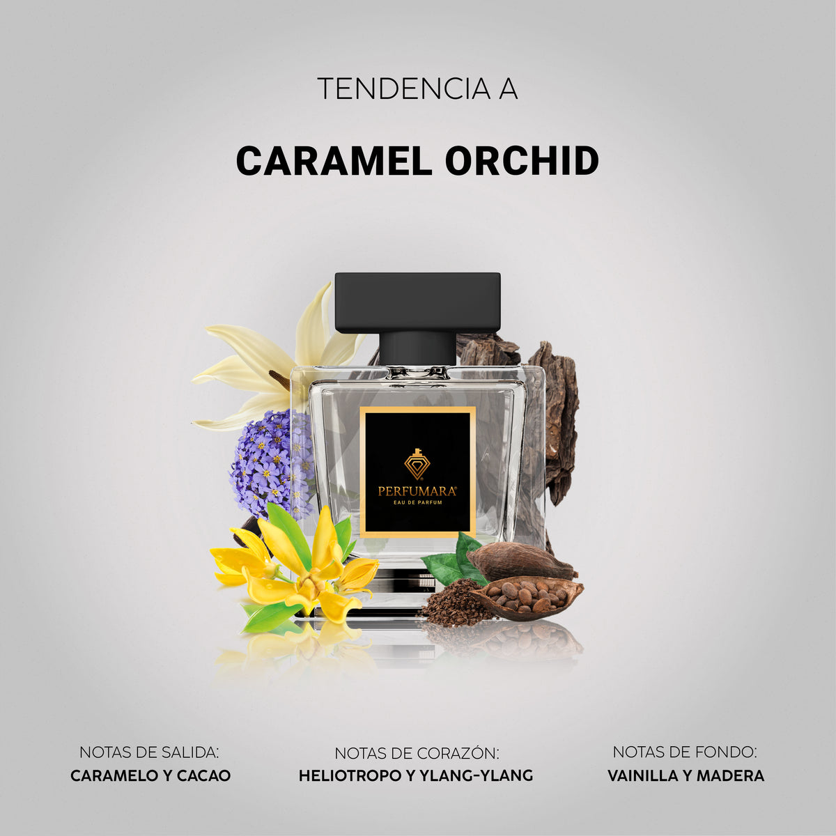 Tendencia a Caramel Orchid