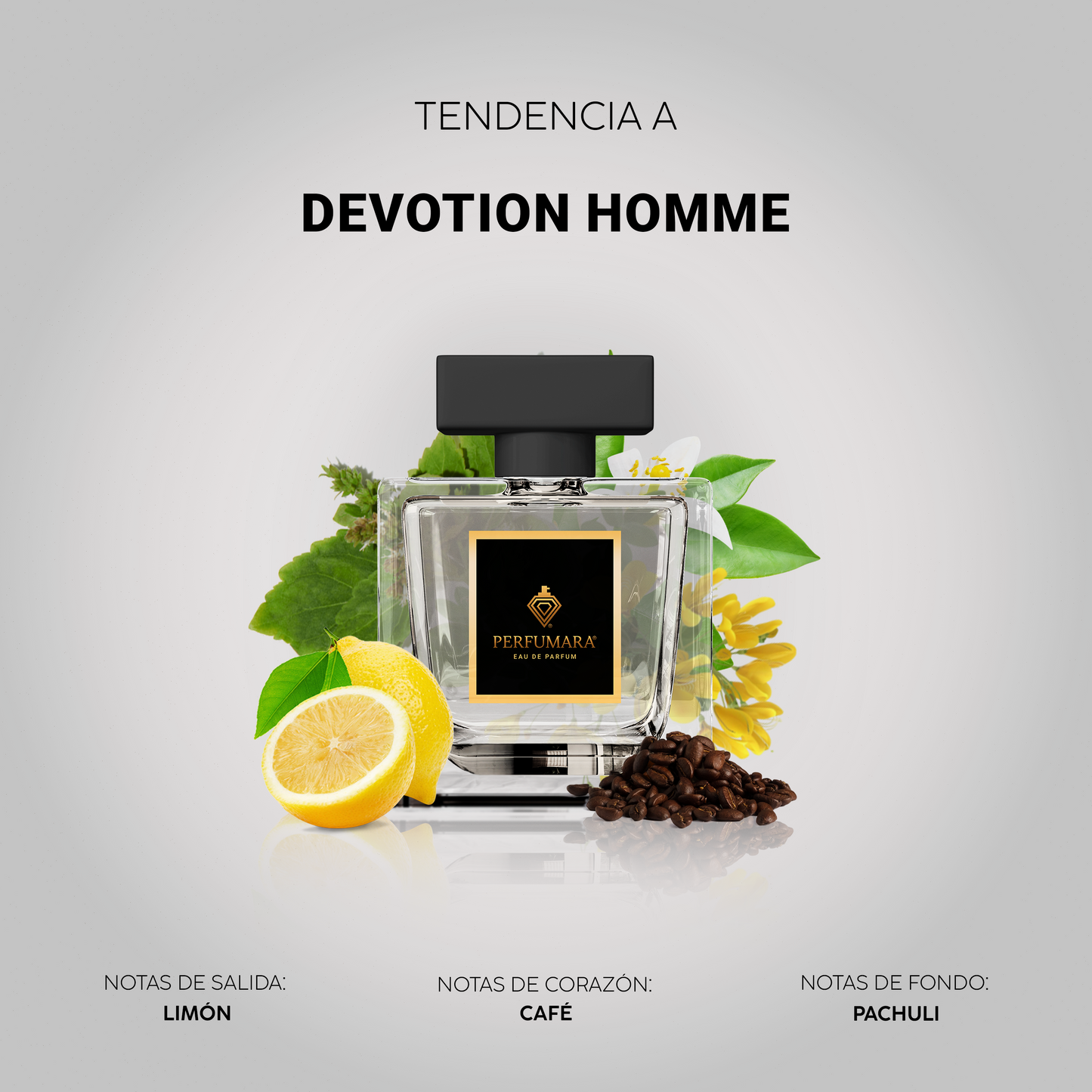 Tendencia a CDevotion Homme